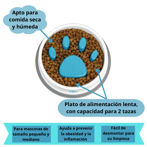 PLATO ANTIREFLUJO SLOWPET ®