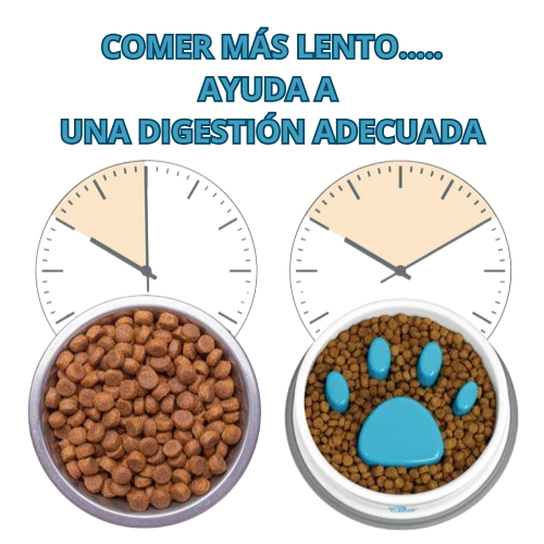 PLATO ANTIREFLUJO SLOWPET ®